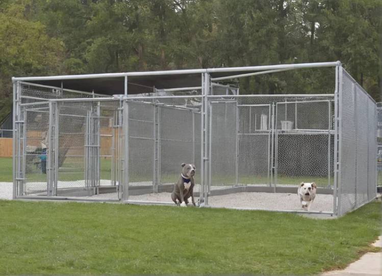 Why Was My Grandpa Kicked Out of Graduation? This Navy SEAL Had the Answer