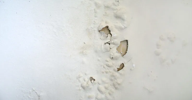 Homeowner Notices a Dark Patch on Her Door — Then an Expert Freezes – Did You Know